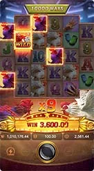 tkp288 · Rooster Rbl